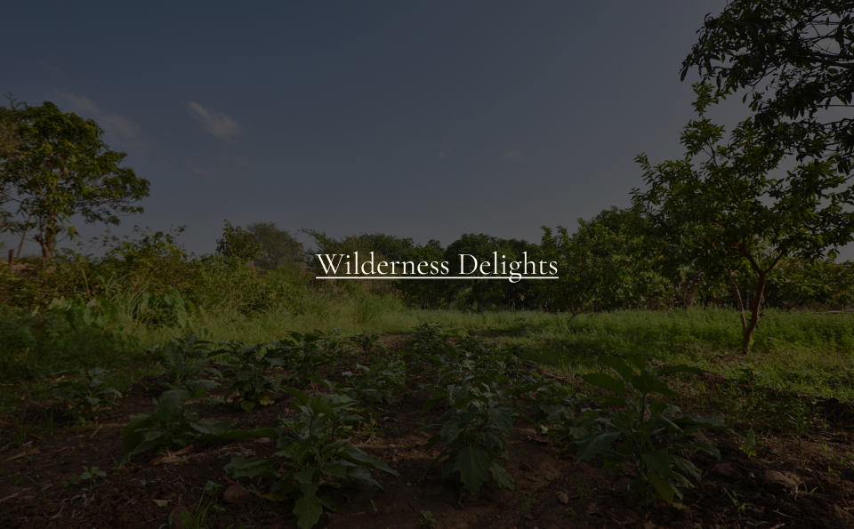 wilderness_delight