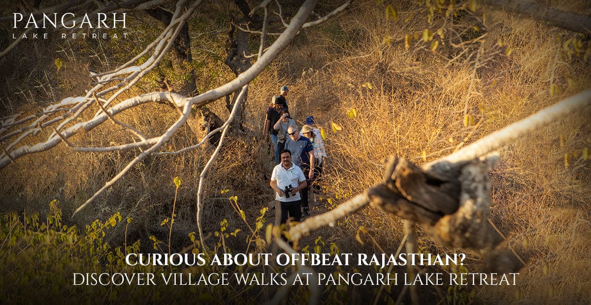 Curious About Offbeat Rajasthan and Village Walks