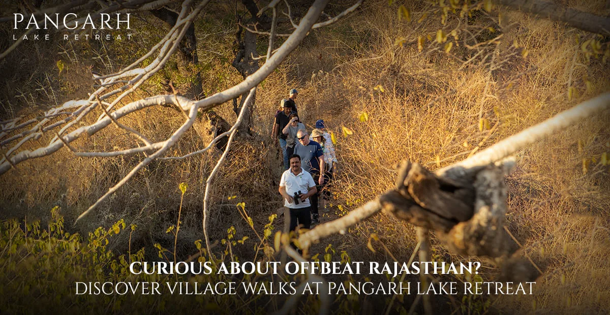 Curious About Offbeat Rajasthan and Village Walks